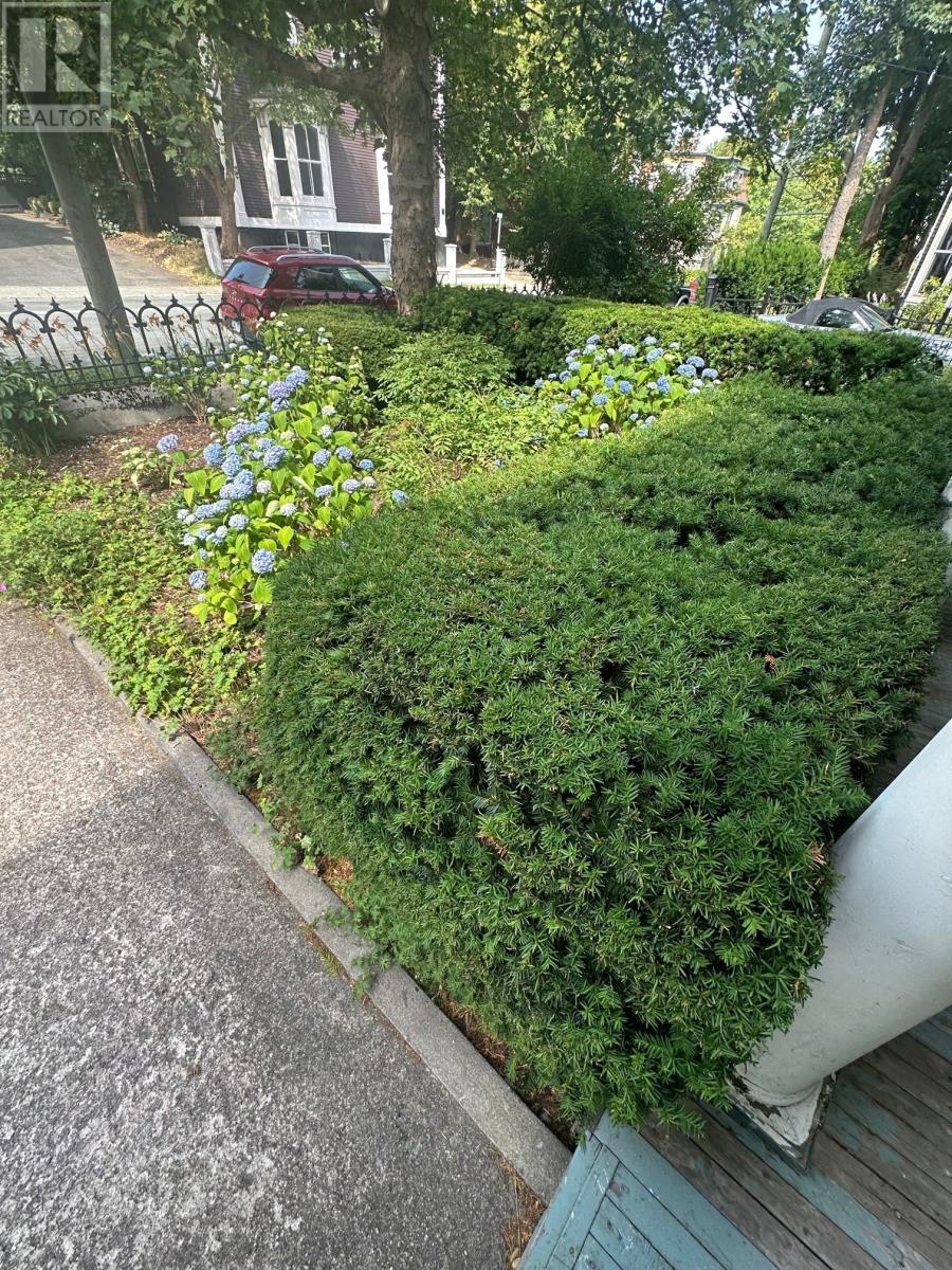36 Rennies Mill Road, St. Johns, Newfoundland & Labrador  A1C 3P8 - Photo 7 - 1289738
