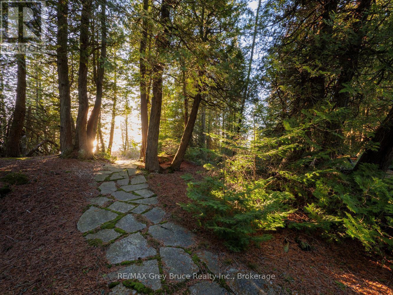 90 Greenough Point Road, Northern Bruce Peninsula, Ontario  N0H 1W0 - Photo 36 - X12000369