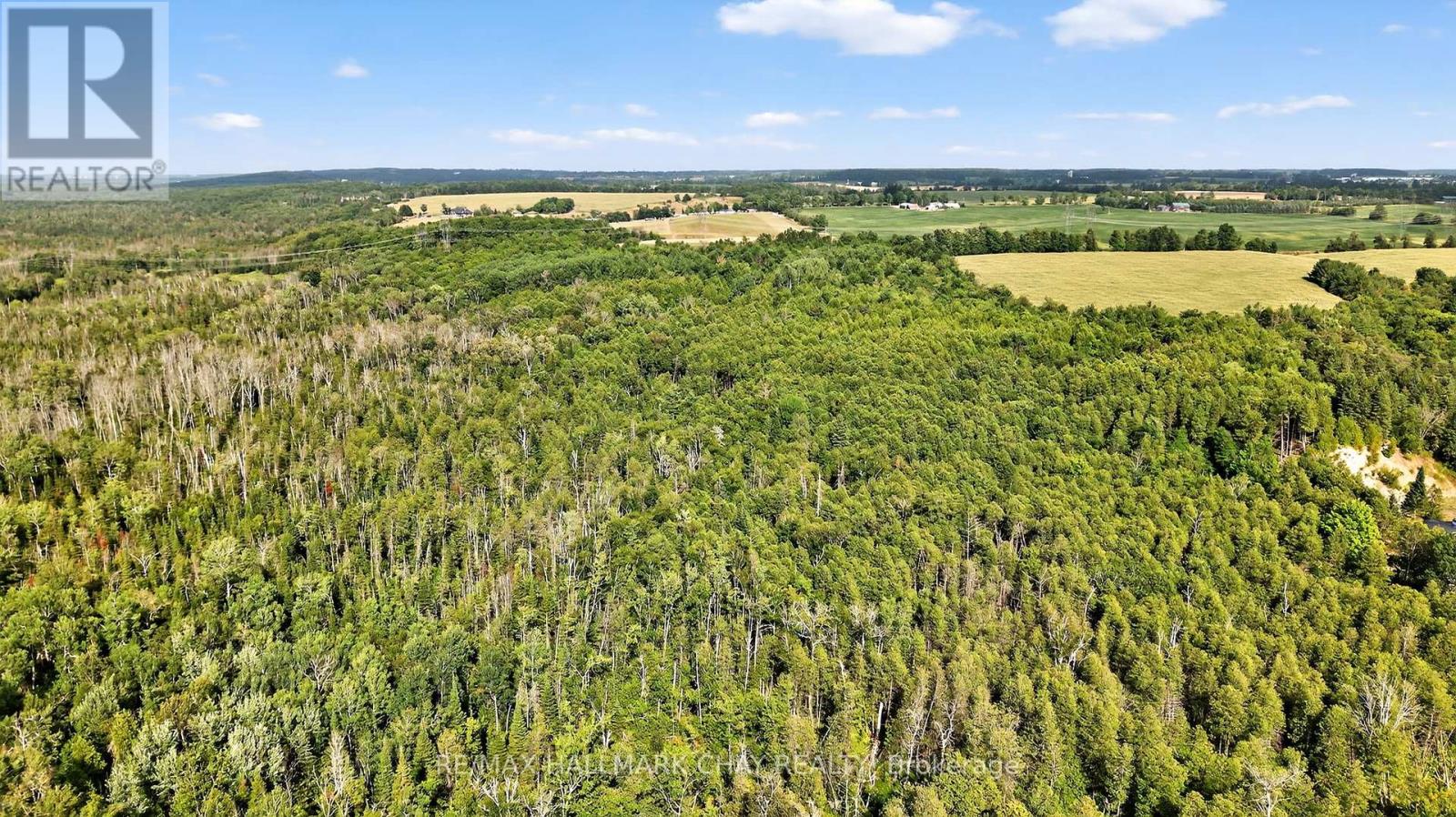 7950 8th Line, Essa, Ontario  L0M 1T0 - Photo 49 - N12344666