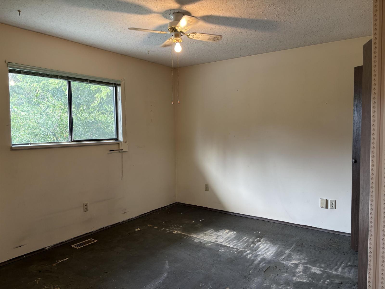 3223 Chestnut Street, Abbotsford, British Columbia  V2S 4M2 - Photo 14 - R3039532