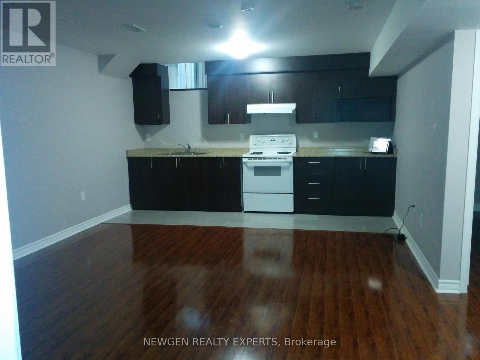 Basement - 53 Maddybeth Crescent, Brampton, Ontario  L6Y 5R8 - Photo 3 - W12367036