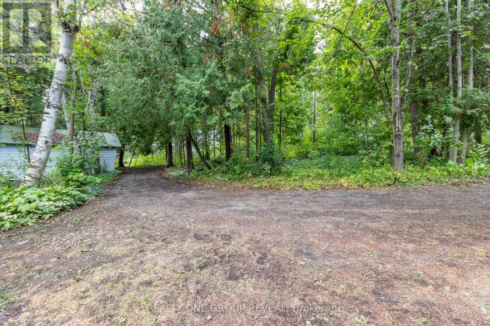 26 Fire Route 128 E, Trent Lakes, Ontario  K0M 1A0 - Photo 7 - X12365253