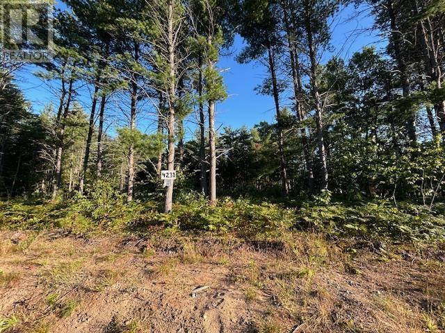 4231 Queen St E, Sault Ste. Marie, Ontario  P6A 5K9 - Photo 1 - SM252403
