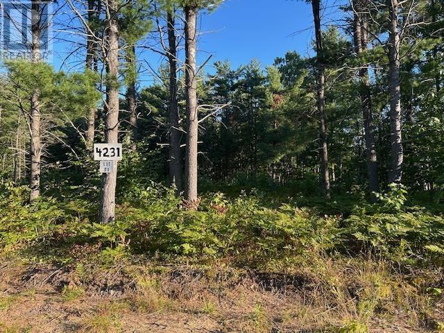 4231 Queen St E, Sault Ste. Marie, Ontario  P6A 5K9 - Photo 2 - SM252403