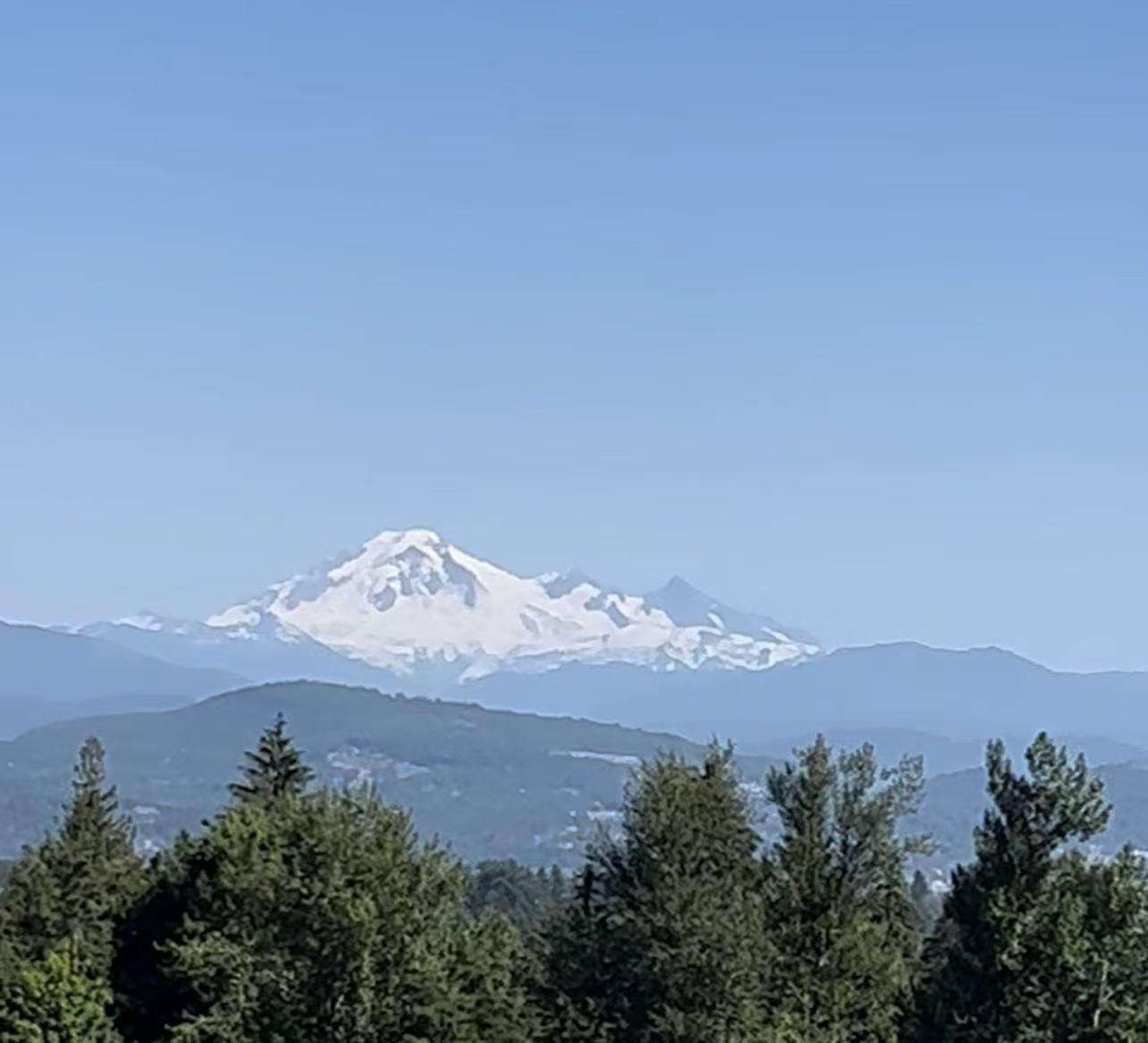 31527 Burnham Place, Mission, British Columbia  V4S 0E8 - Photo 38 - R3040903