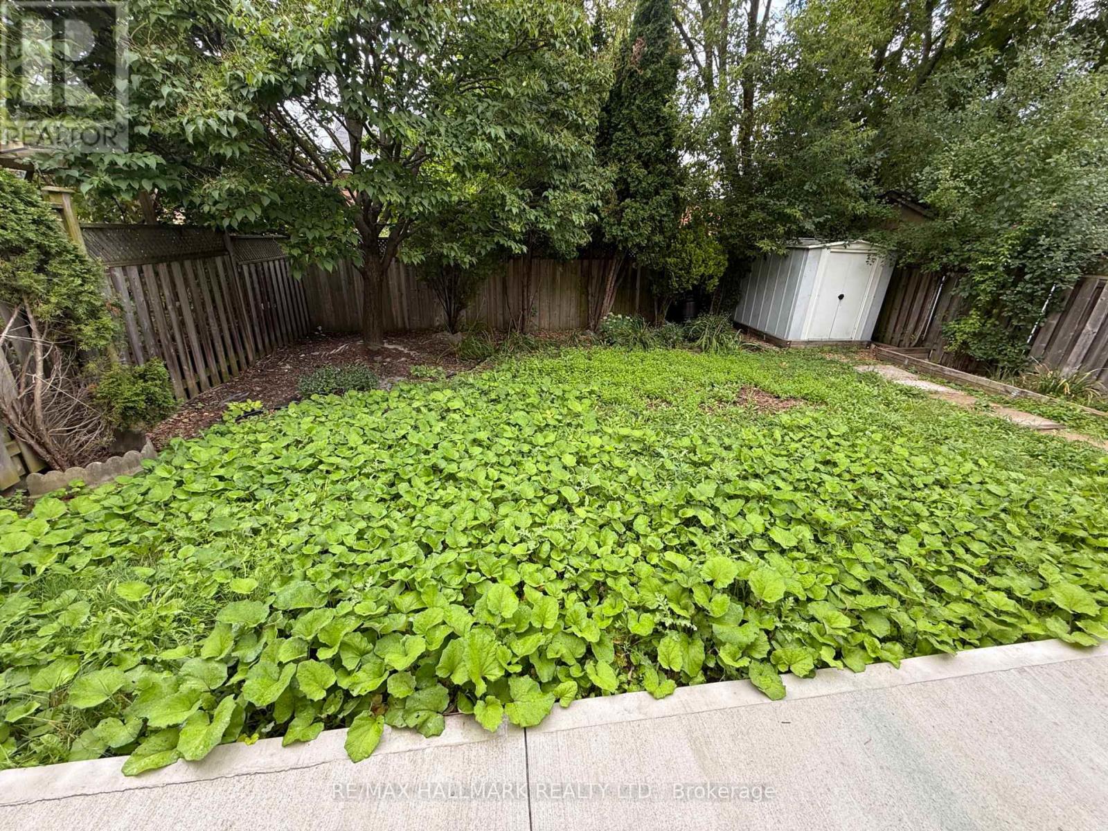 #bsmt - 256 Stone Road, Aurora, Ontario  L4G 6Y7 - Photo 17 - N12342223