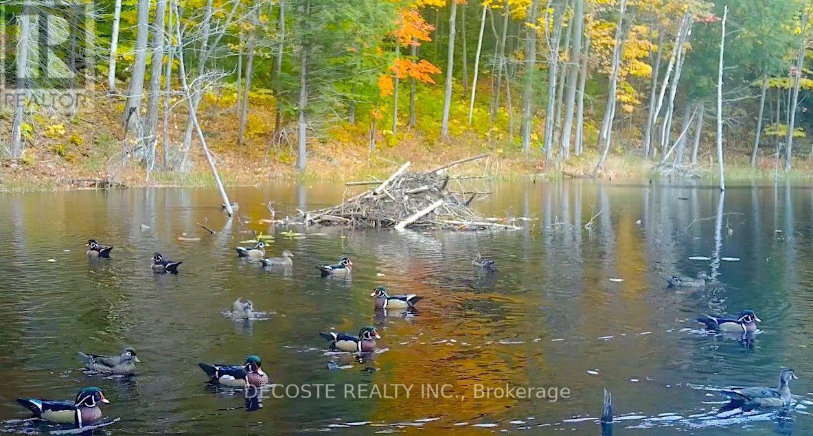 3691 Bolingbrooke Road, Tay Valley, Ontario  K0H 2B0 - Photo 44 - X12367309