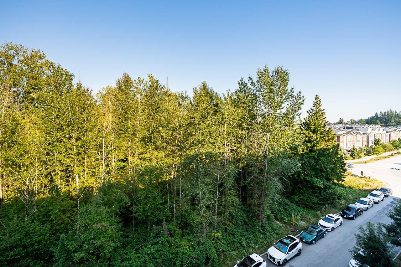 A505 8447 202 Street, Langley, British Columbia  V2Y 4K1 - Photo 30 - R3040751