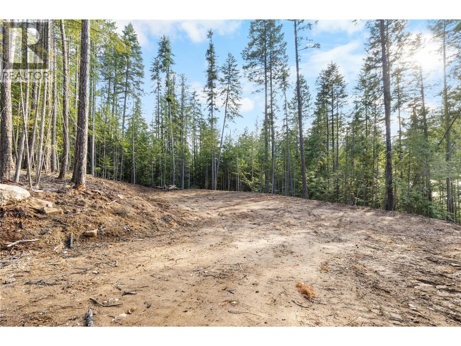 Lot 1 Riondel Road, Riondel, British Columbia  V0B 2B0 - Photo 3 - 10360780
