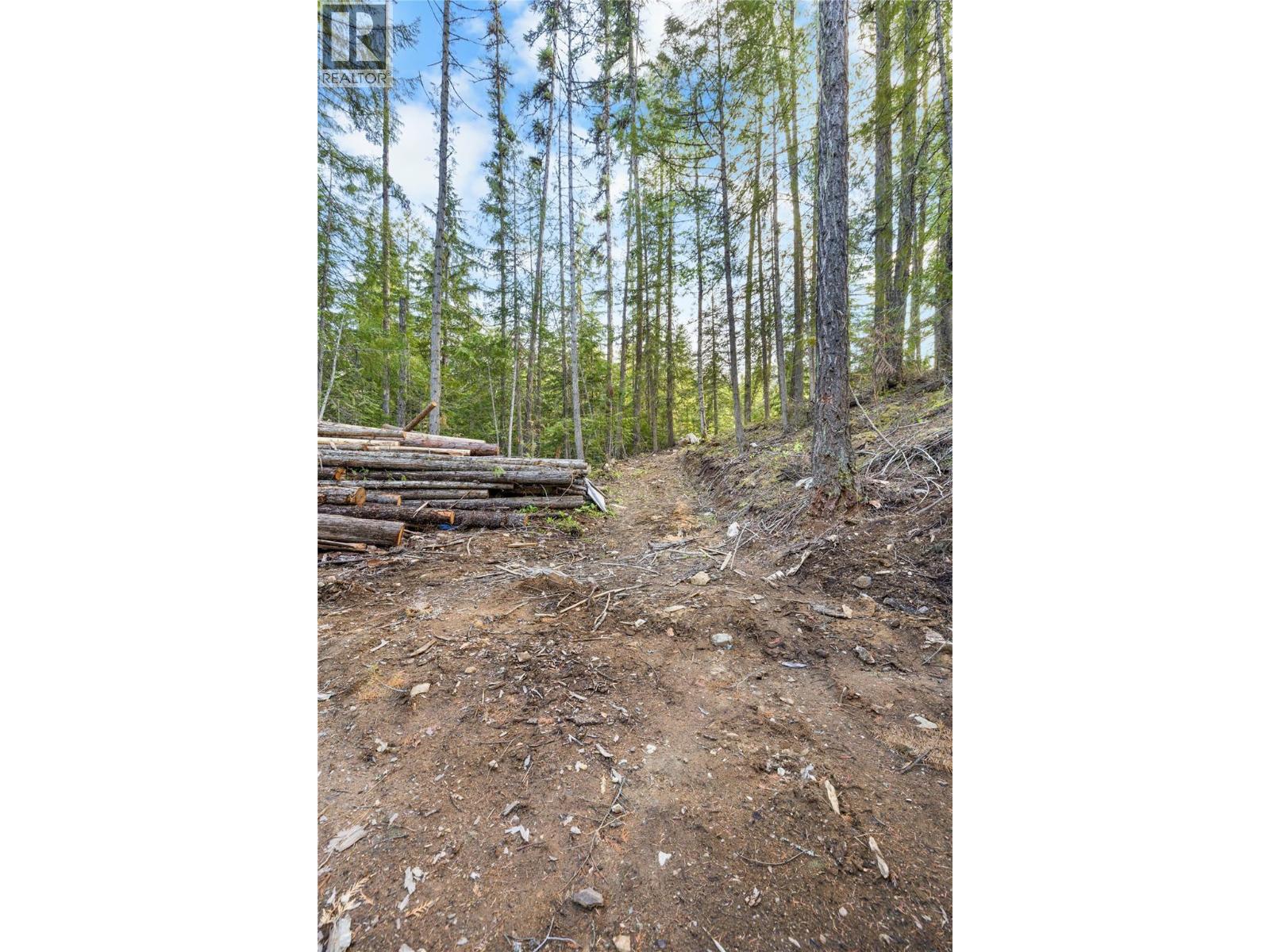 Lot 1 Riondel Road, Riondel, British Columbia  V0B 2B0 - Photo 12 - 10360780
