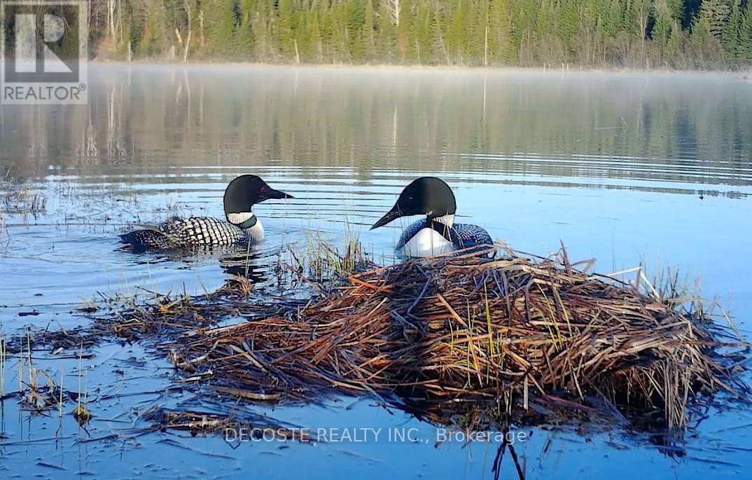 3691 Bolingbrooke Road, Tay Valley, Ontario  K0H 2B0 - Photo 38 - X12367367