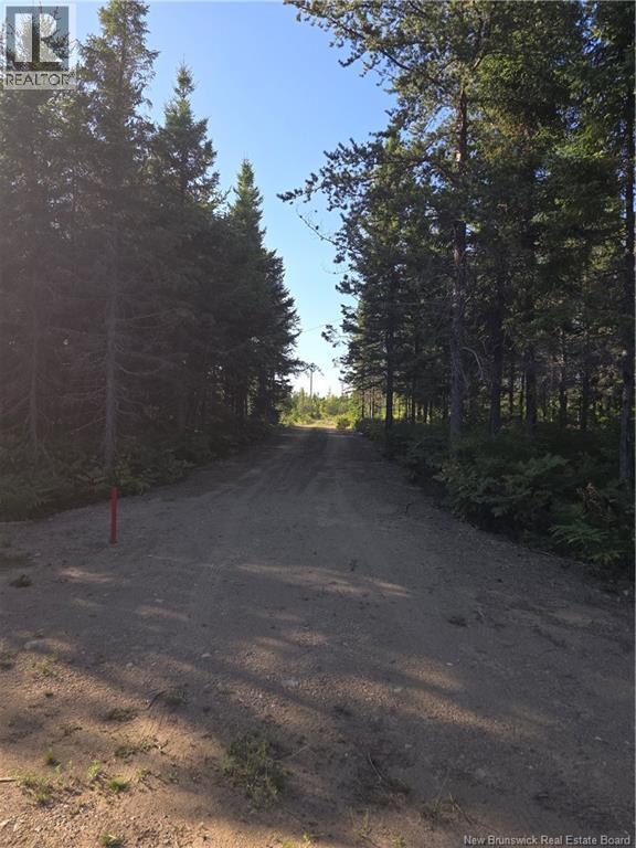 140 Grand Dune Shore Road, Barryville, New Brunswick  E9G 4H6 - Photo 34 - NB105923