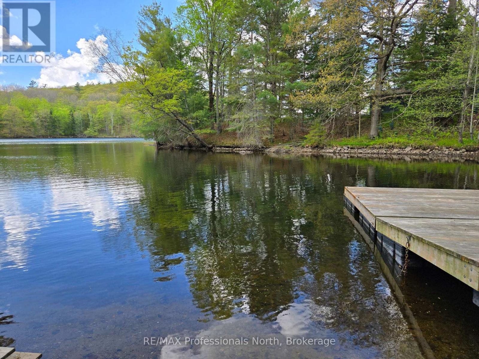 1010 Sturgeon Drive, Minden Hills, Ontario  K0M 2K0 - Photo 25 - X12367553