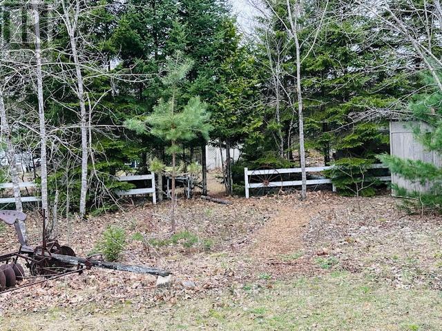 1010 Sturgeon Drive, Minden Hills, Ontario  K0M 2K0 - Photo 35 - X12367553