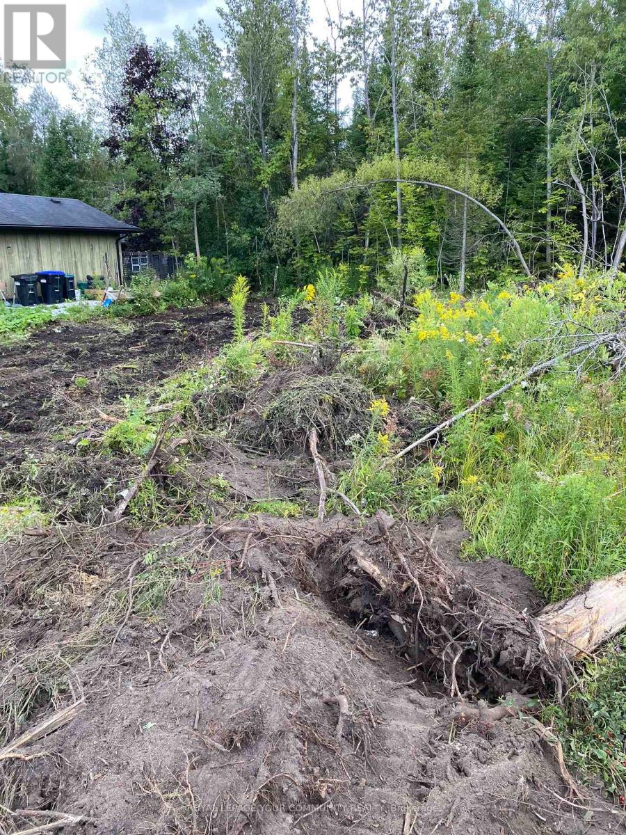 2566 25 Sideroad Road, Innisfil, Ontario  L6S 3T4 - Photo 2 - N12367558