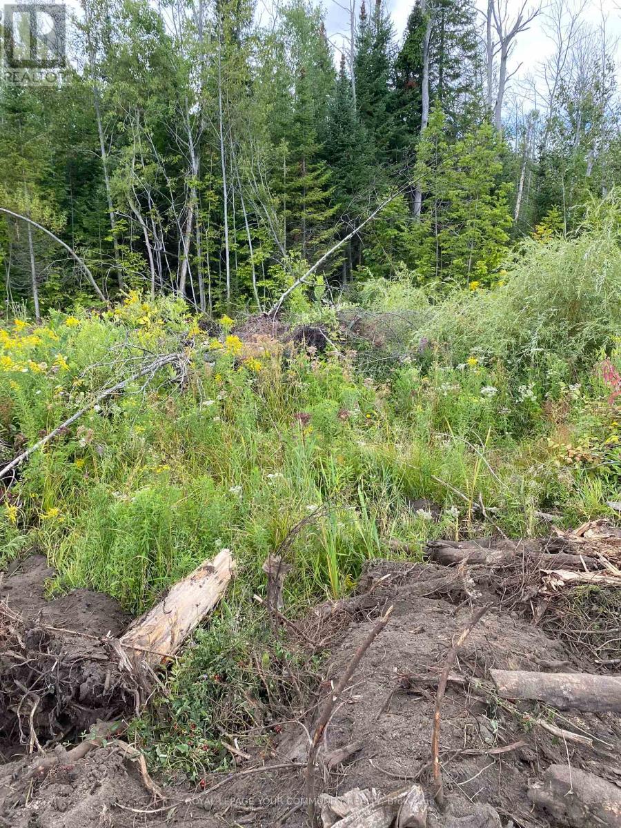 2566 25 Sideroad Road, Innisfil, Ontario  L6S 3T4 - Photo 3 - N12367558