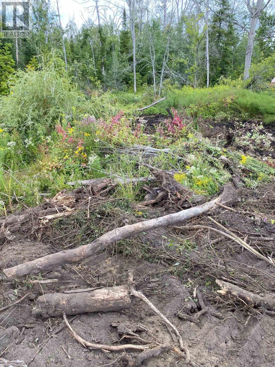 2566 25 Sideroad Road, Innisfil, Ontario  L6S 3T4 - Photo 4 - N12367558