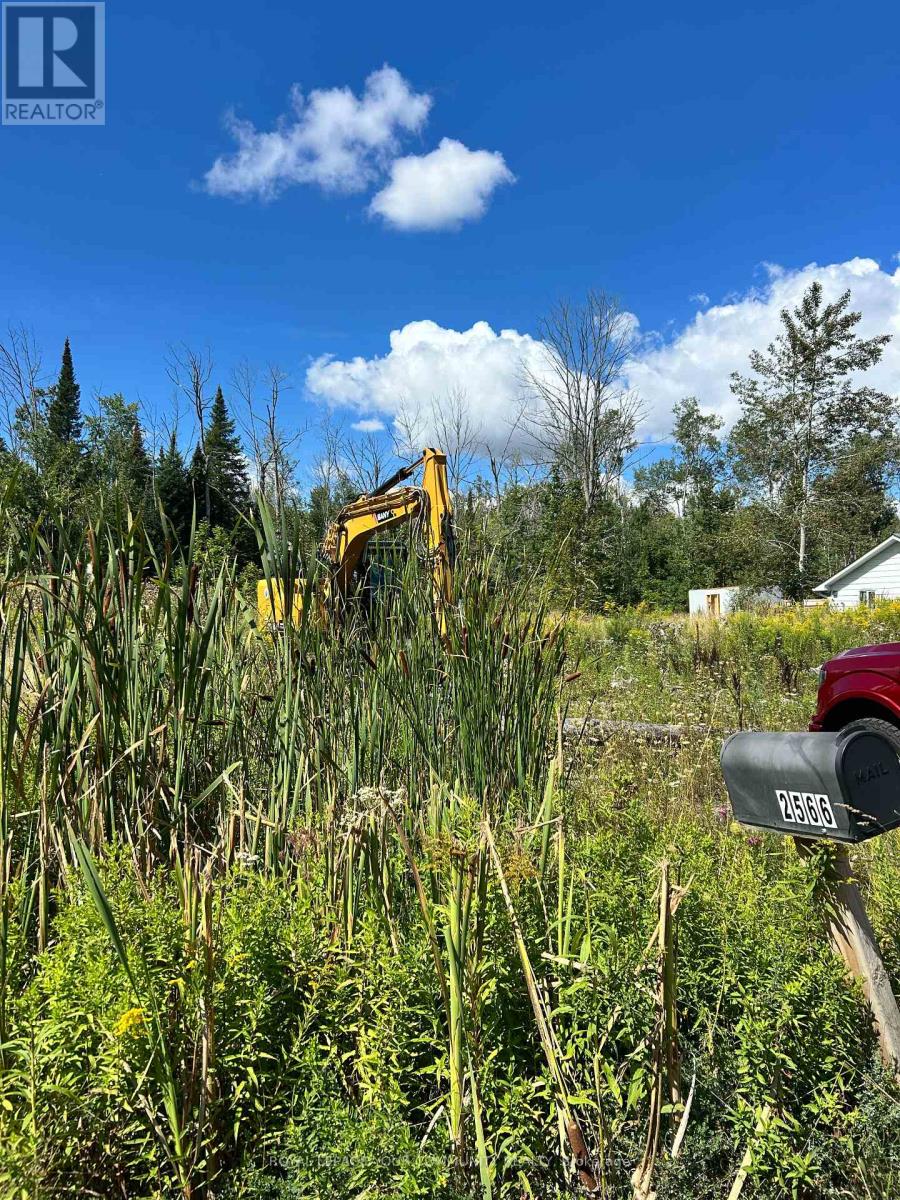 2566 25 Sideroad Road, Innisfil, Ontario  L6S 3T4 - Photo 5 - N12367558