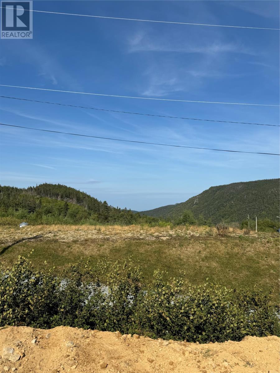 8 Snows Pond Road, North River, Newfoundland & Labrador  A0A 3C0 - Photo 3 - 1289719