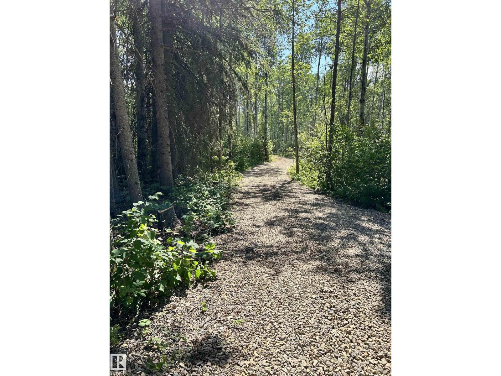 5 Baywin Es, Rural Athabasca County, Alberta  T0A 0M0 - Photo 6 - E4451366