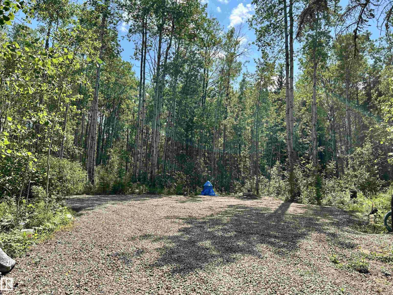 5 Baywin Es, Rural Athabasca County, Alberta  T0A 0M0 - Photo 2 - E4451366