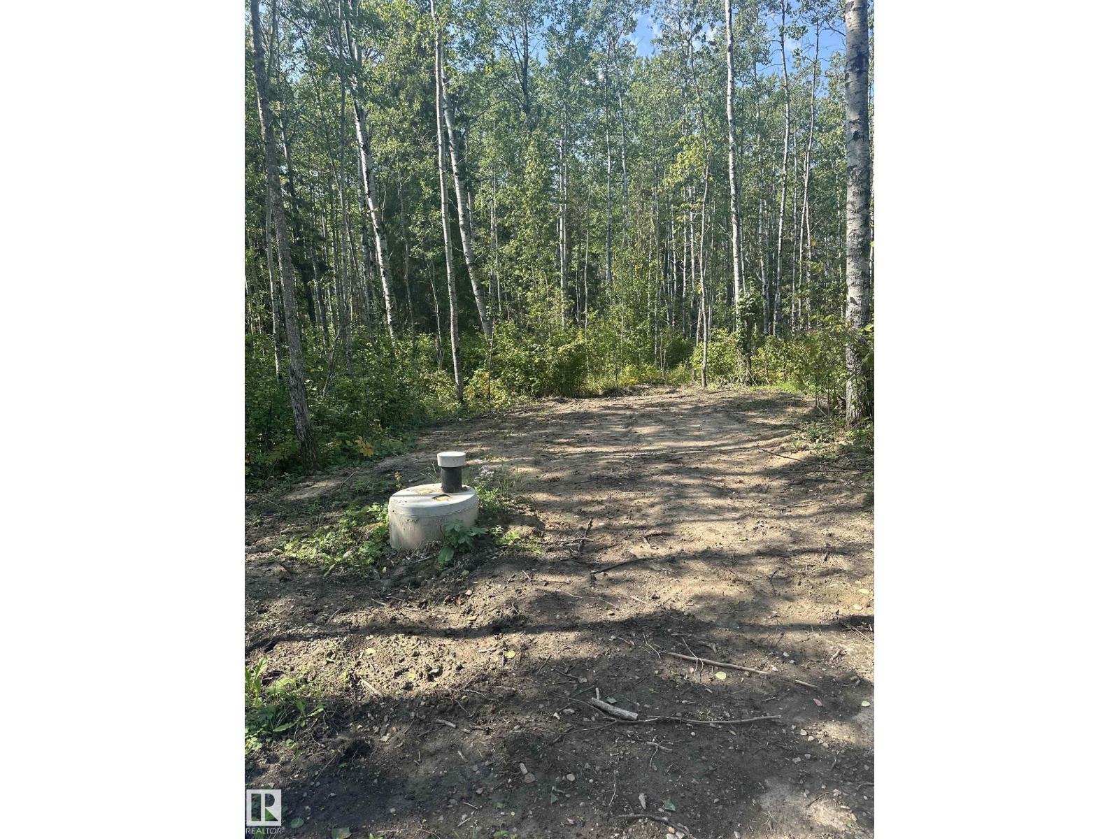 5 Baywin Es, Rural Athabasca County, Alberta  T0A 0M0 - Photo 19 - E4451366