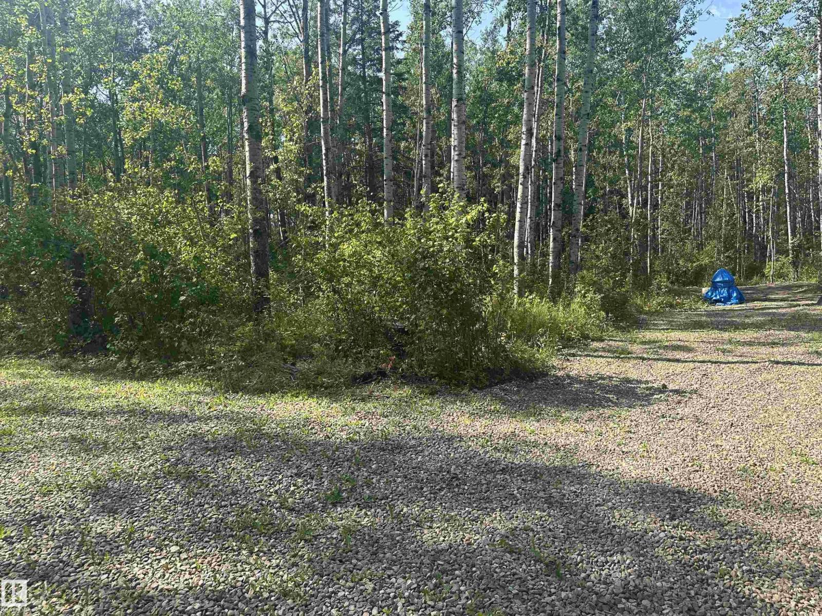 5 Baywin Es, Rural Athabasca County, Alberta  T0A 0M0 - Photo 24 - E4451366