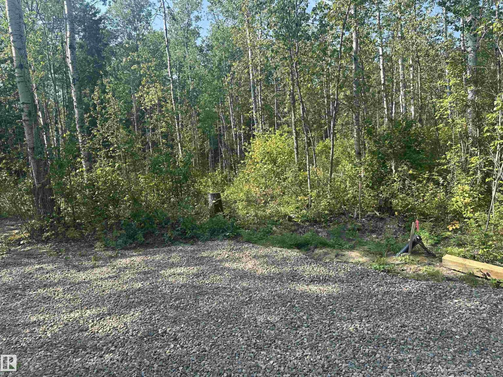 5 Baywin Es, Rural Athabasca County, Alberta  T0A 0M0 - Photo 22 - E4451366