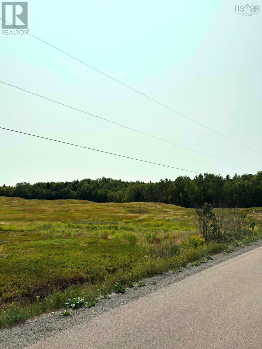 Lot Thompson Road, Millvale, Nova Scotia  B0M 1E0 - Photo 11 - 202521783