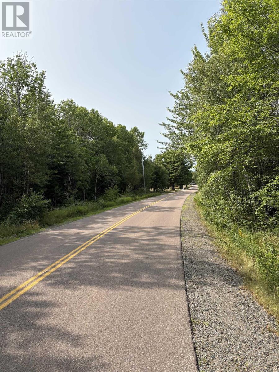 Lot Thompson Road, Millvale, Nova Scotia  B0M 1E0 - Photo 5 - 202521783