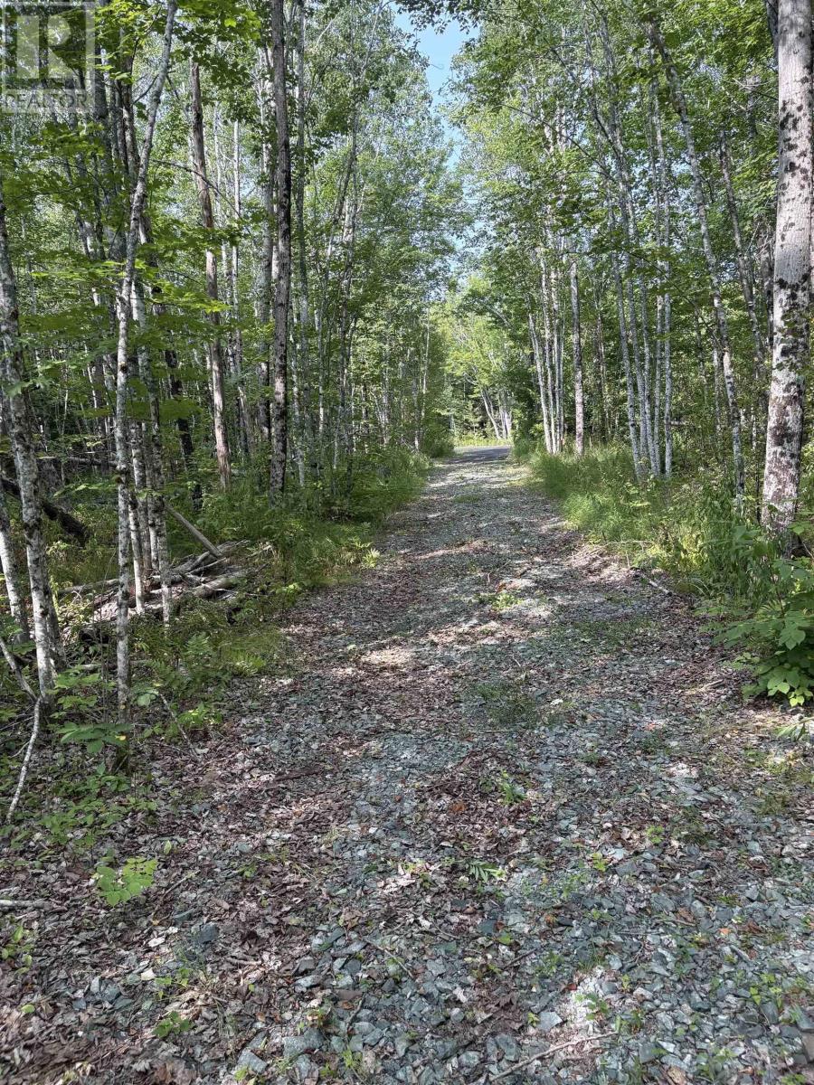 Lot Thompson Road, Millvale, Nova Scotia  B0M 1E0 - Photo 6 - 202521783
