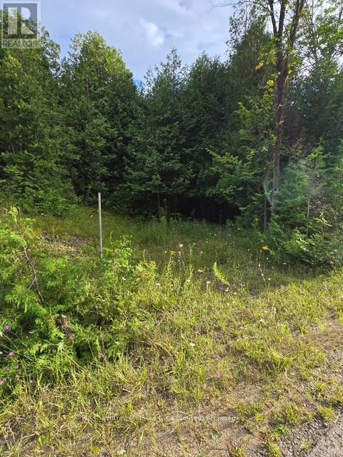581650 9a Side Road, Chatsworth, Ontario  N0H 1K0 - Photo 9 - X12365912