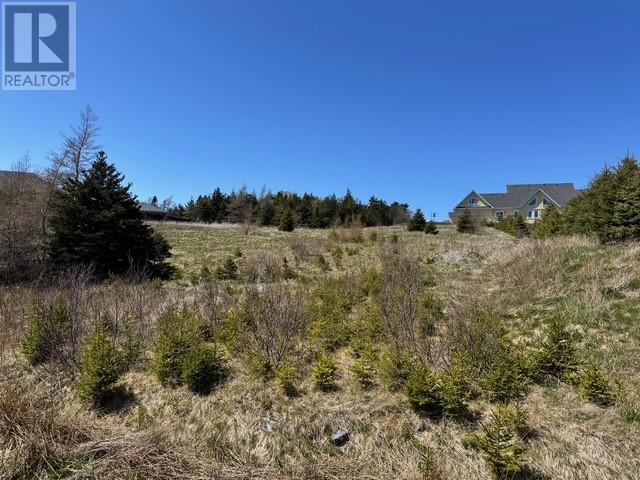 8 Ashkay Drive, Logy Bay, Newfoundland & Labrador  A1K 0G6 - Photo 7 - 1285378