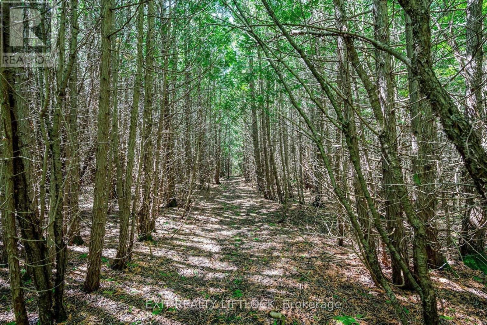 4922 Highway 7, Kawartha Lakes (Omemee), Ontario  K0L 2W0 - Photo 34 - X12203096