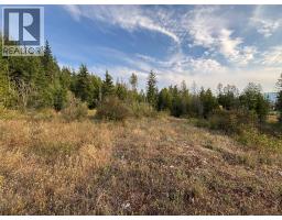 Lot 1 Tatlow Road SE, salmon arm, British Columbia