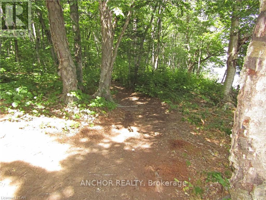 550 Shawanaga Lane, Mcdougall, Ontario  P0A 1G0 - Photo 17 - X12367840