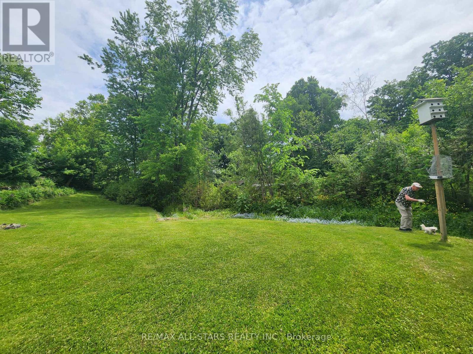 101 Clovelly Cove, Georgina (Pefferlaw), Ontario  L0E 1E0 - Photo 15 - N12224198