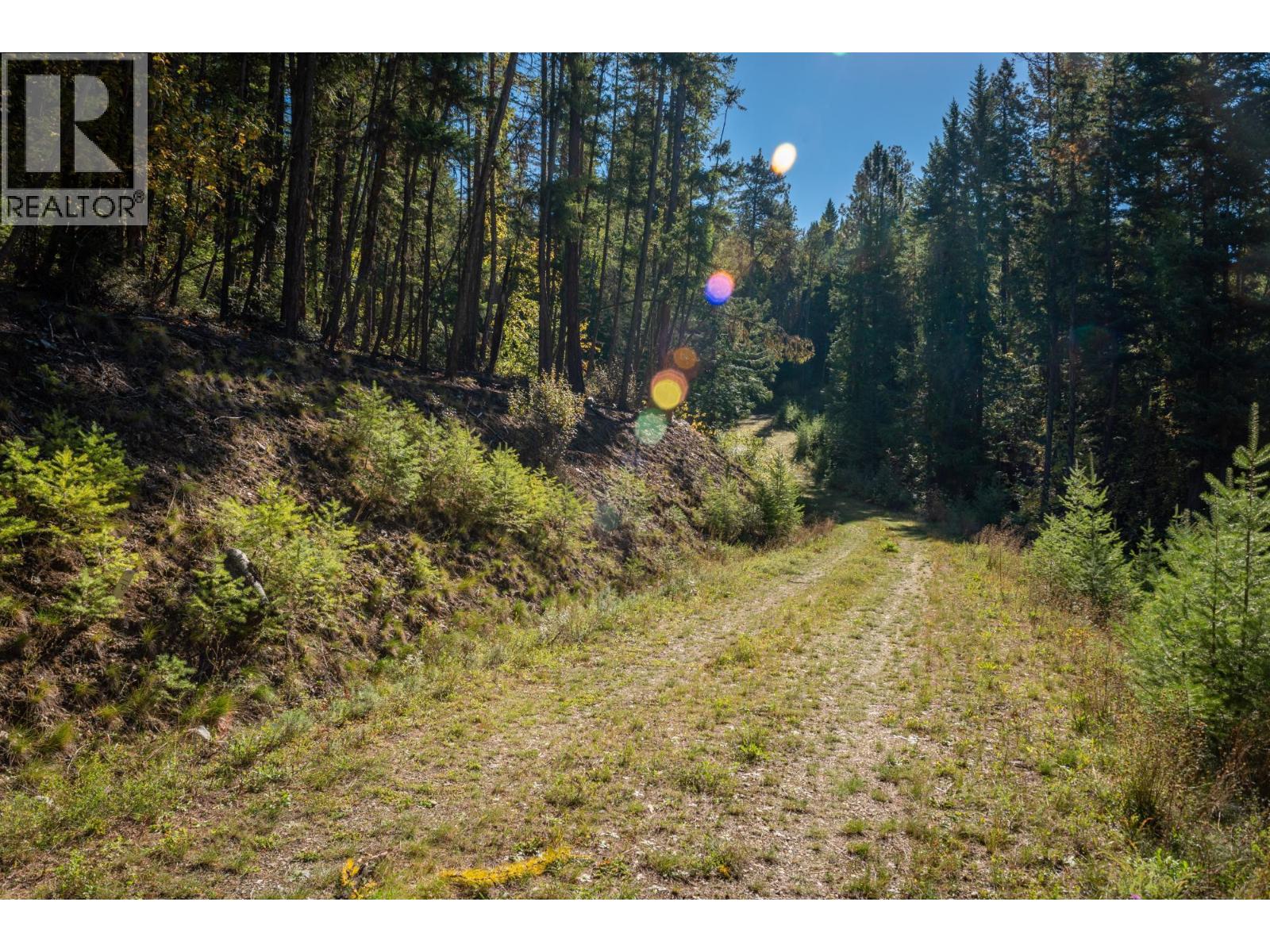 1399 Purcell Lane, Argenta, British Columbia  V0G 1A0 - Photo 16 - 10355978