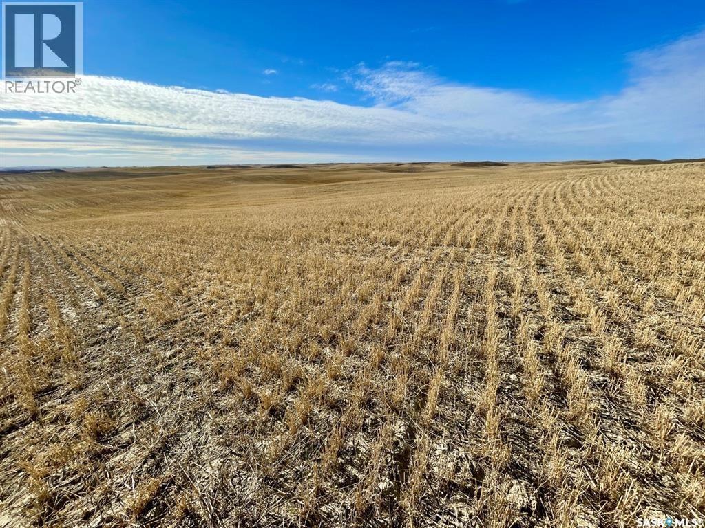 3 Quarters Rm 347, Biggar Rm No. 347, Saskatchewan  S0K 0M0 - Photo 6 - SK016704