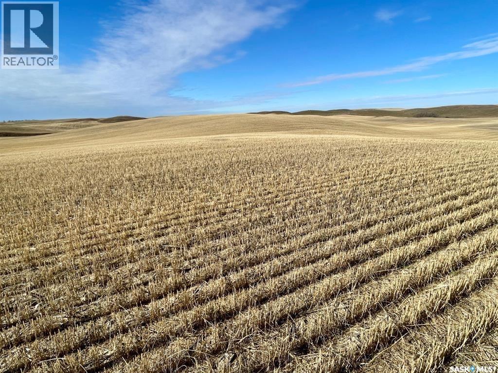3 Quarters Rm 347, Biggar Rm No. 347, Saskatchewan  S0K 0M0 - Photo 7 - SK016704