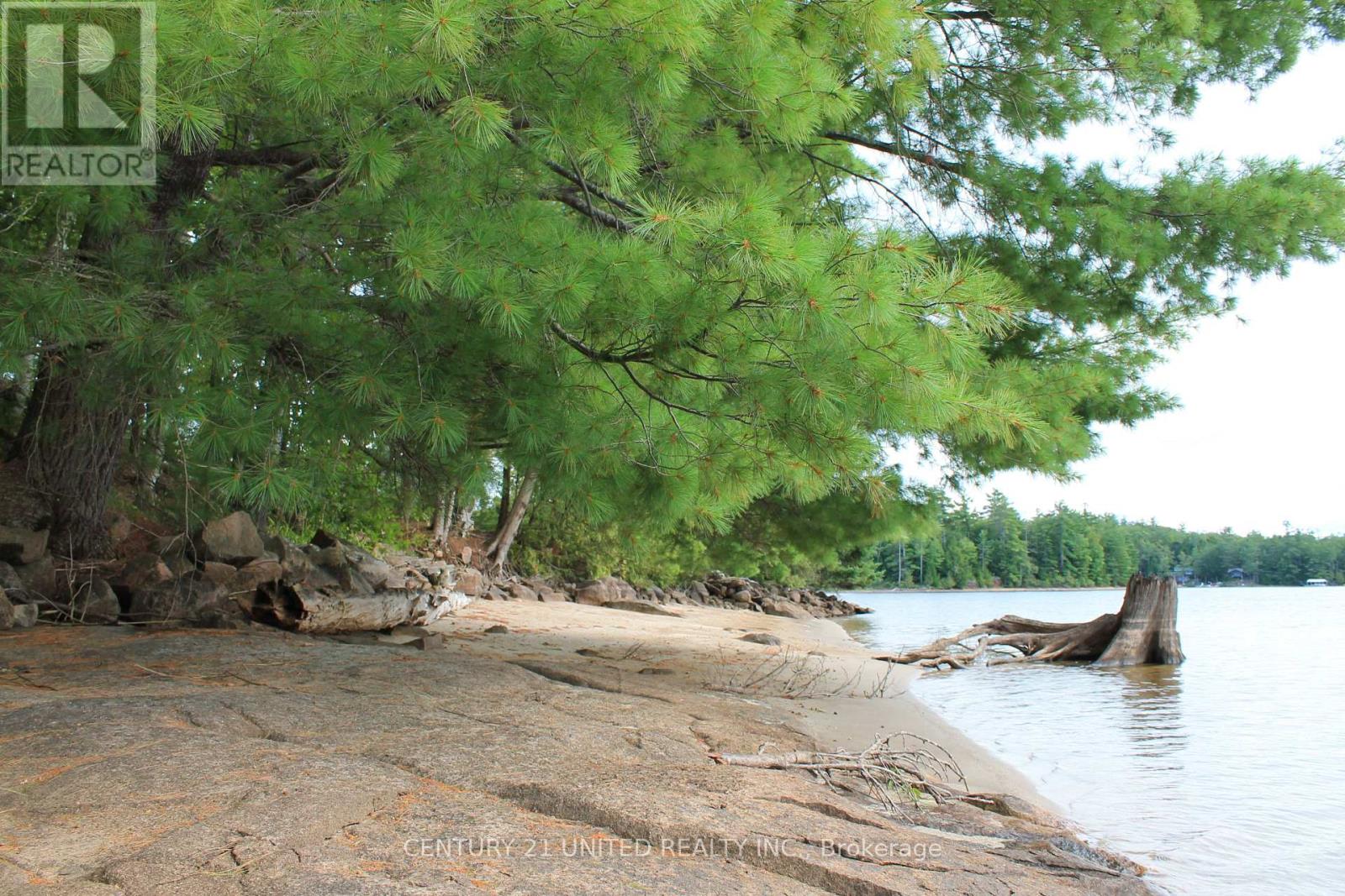 45 Fire Route 223, Trent Lakes, Ontario  K0L 1J0 - Photo 19 - X12368165