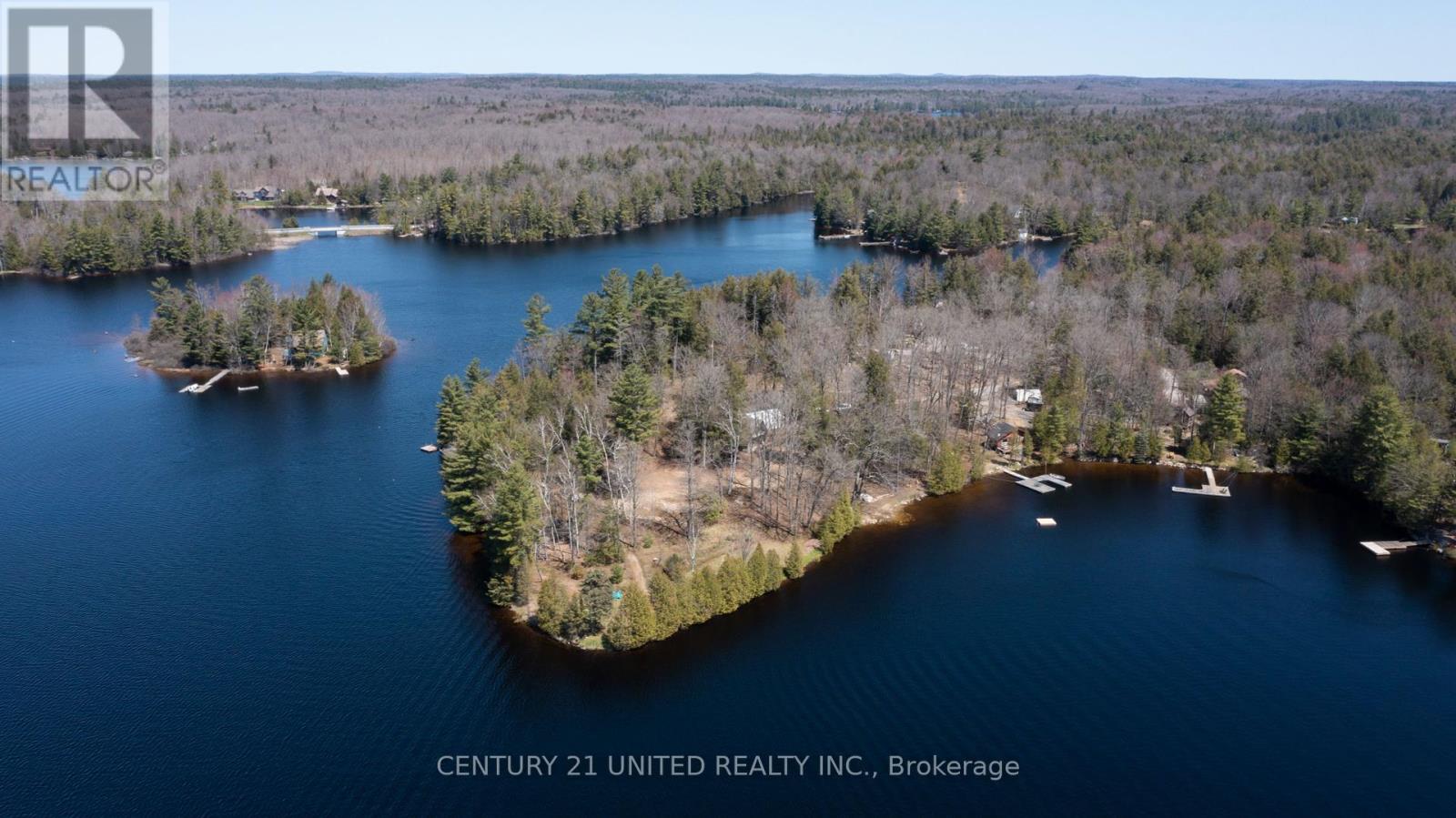 45 Fire Route 223, Trent Lakes, Ontario  K0L 1J0 - Photo 2 - X12368165