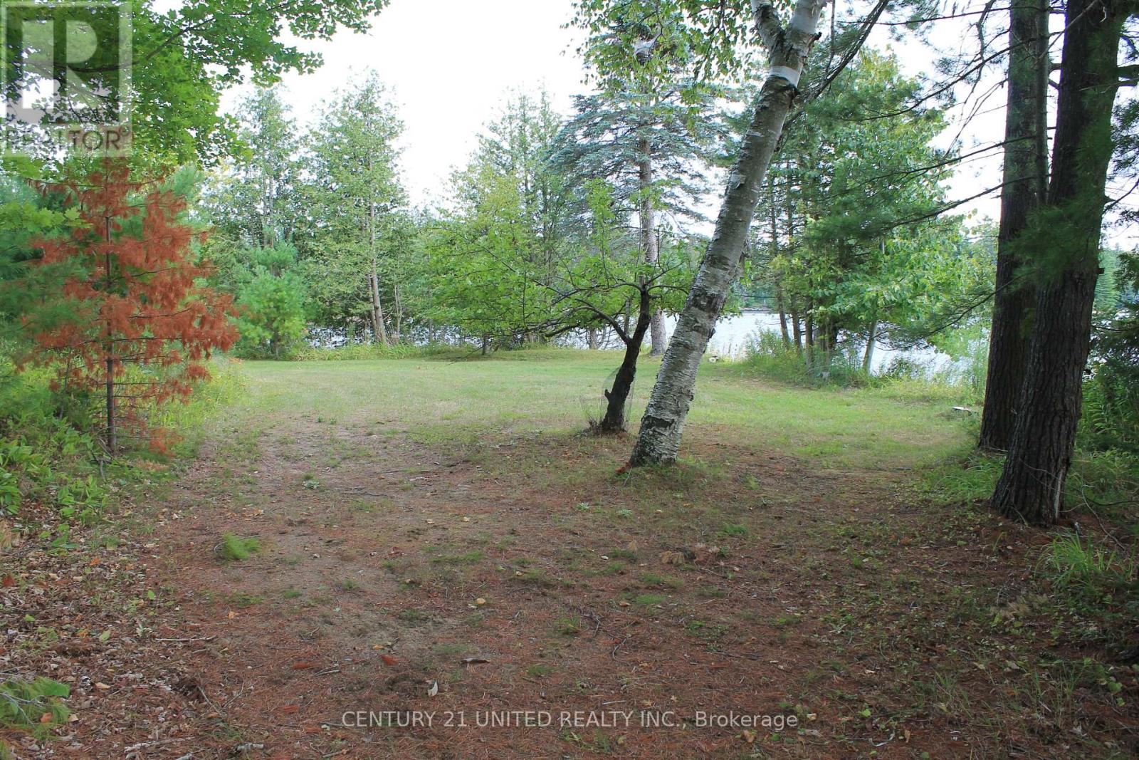45 Fire Route 223, Trent Lakes, Ontario  K0L 1J0 - Photo 22 - X12368165