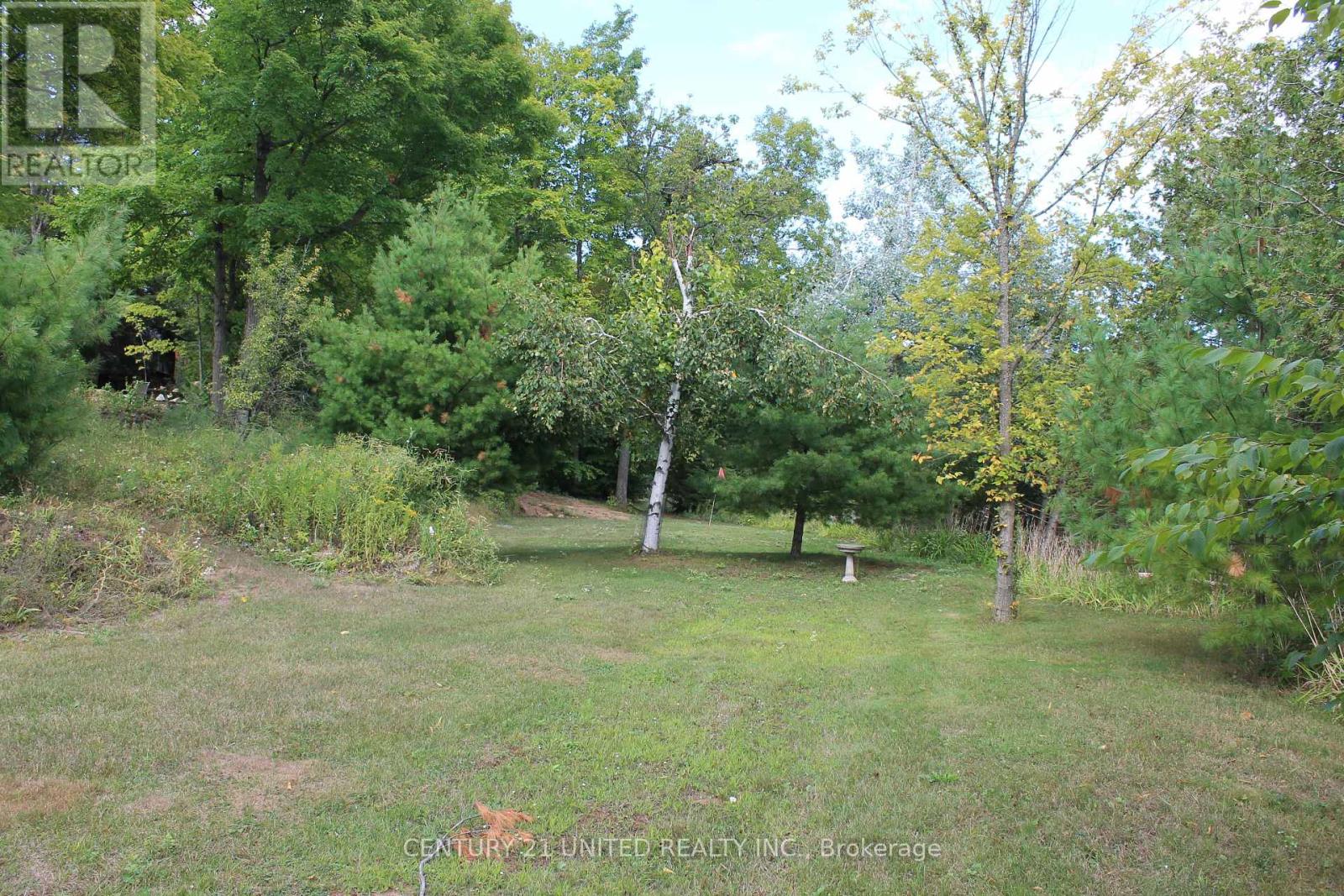 45 Fire Route 223, Trent Lakes, Ontario  K0L 1J0 - Photo 24 - X12368165