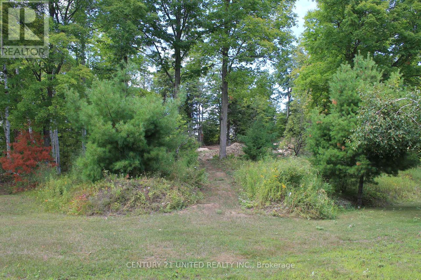 45 Fire Route 223, Trent Lakes, Ontario  K0L 1J0 - Photo 25 - X12368165