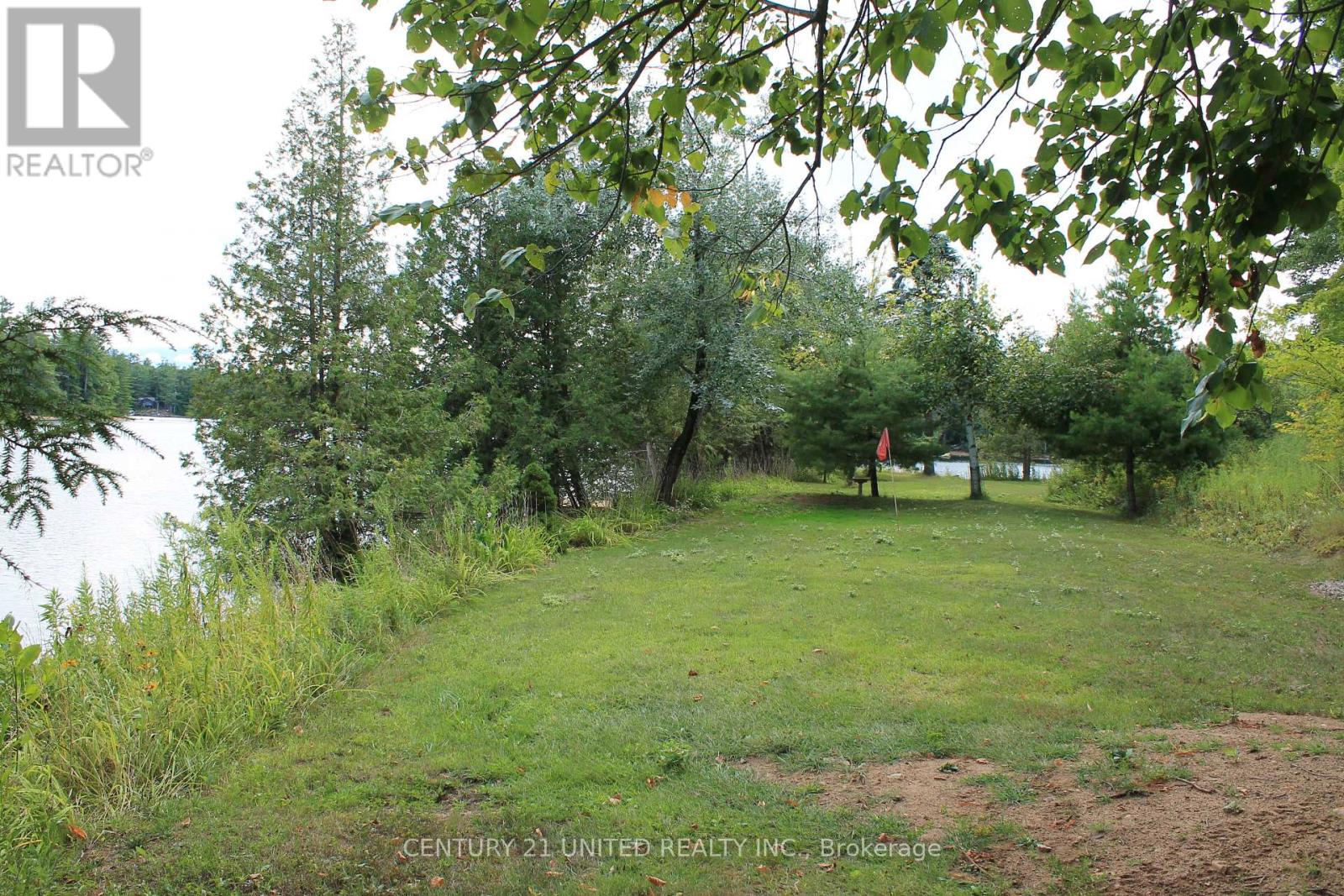 45 Fire Route 223, Trent Lakes, Ontario  K0L 1J0 - Photo 28 - X12368165