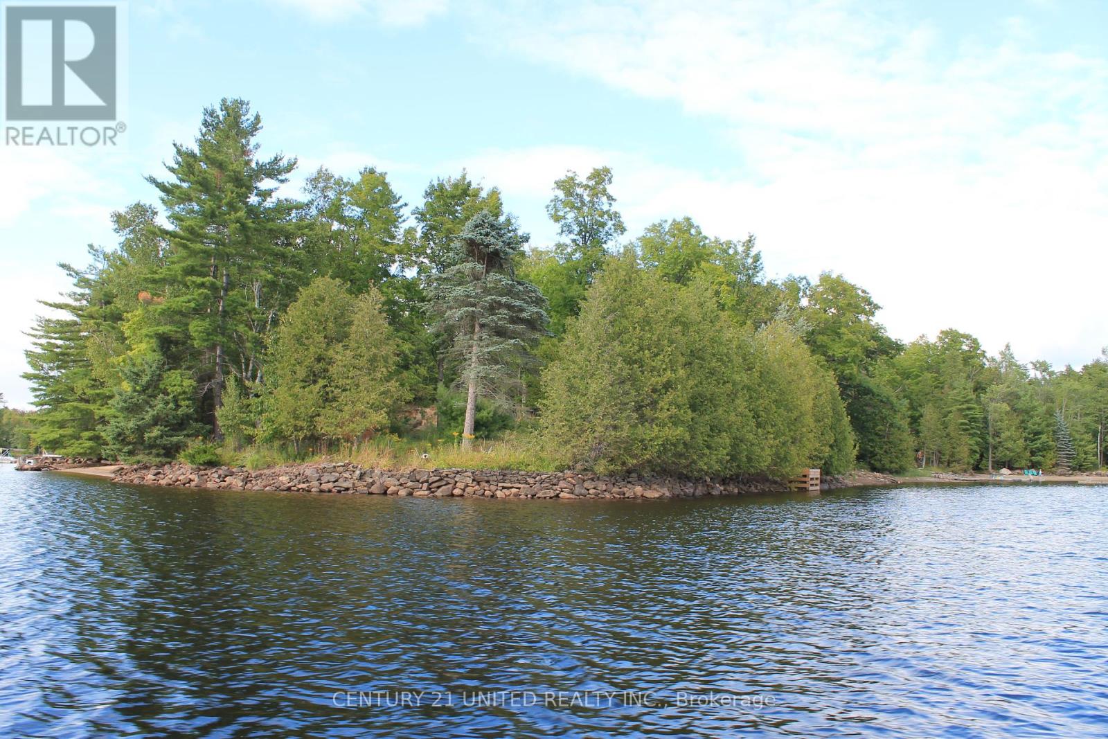 45 Fire Route 223, Trent Lakes, Ontario  K0L 1J0 - Photo 31 - X12368165