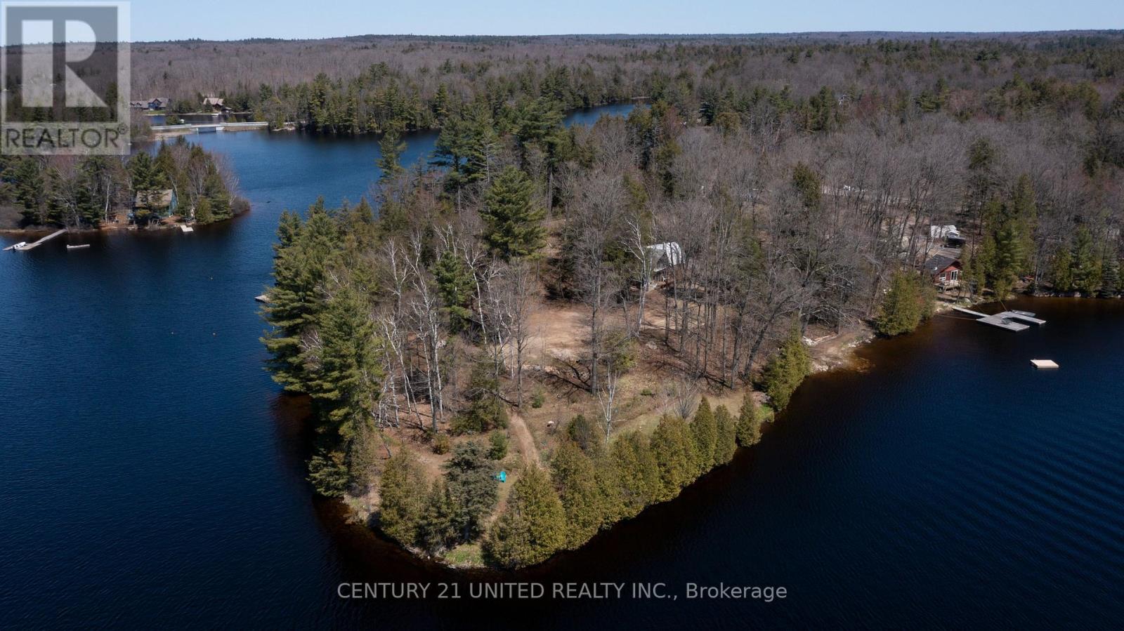 45 Fire Route 223, Trent Lakes, Ontario  K0L 1J0 - Photo 34 - X12368165