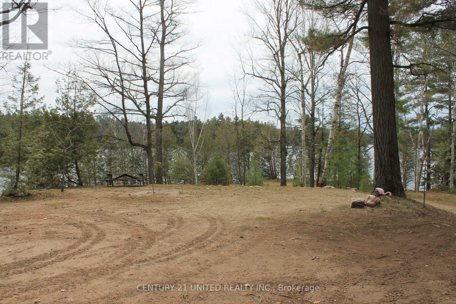 45 Fire Route 223, Trent Lakes, Ontario  K0L 1J0 - Photo 35 - X12368165