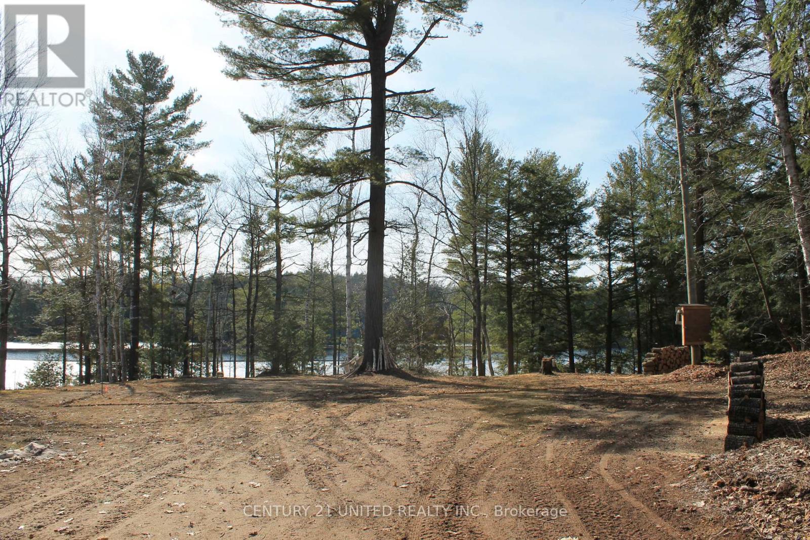 45 Fire Route 223, Trent Lakes, Ontario  K0L 1J0 - Photo 39 - X12368165